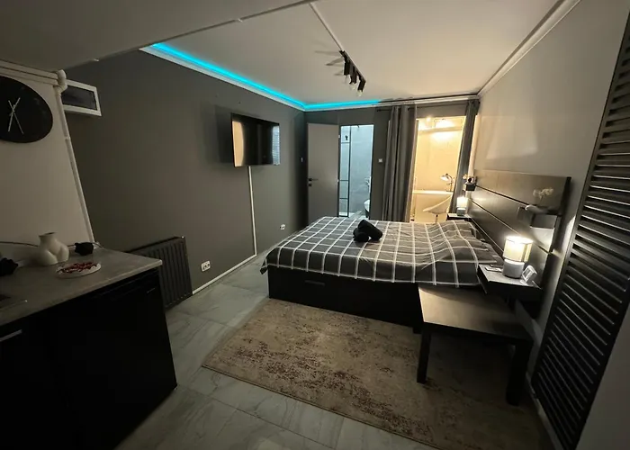 Apartment Ultracentral *